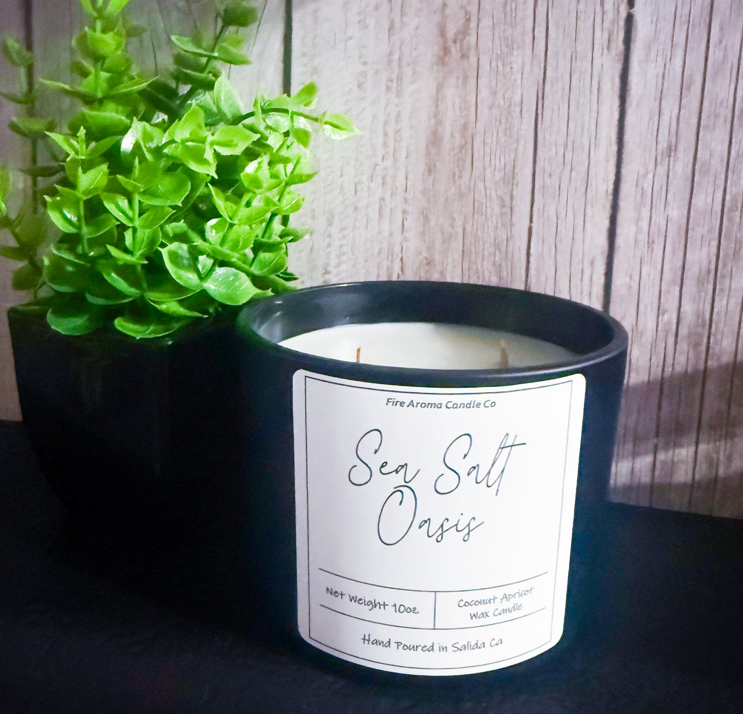 Sea Salt Oasis
