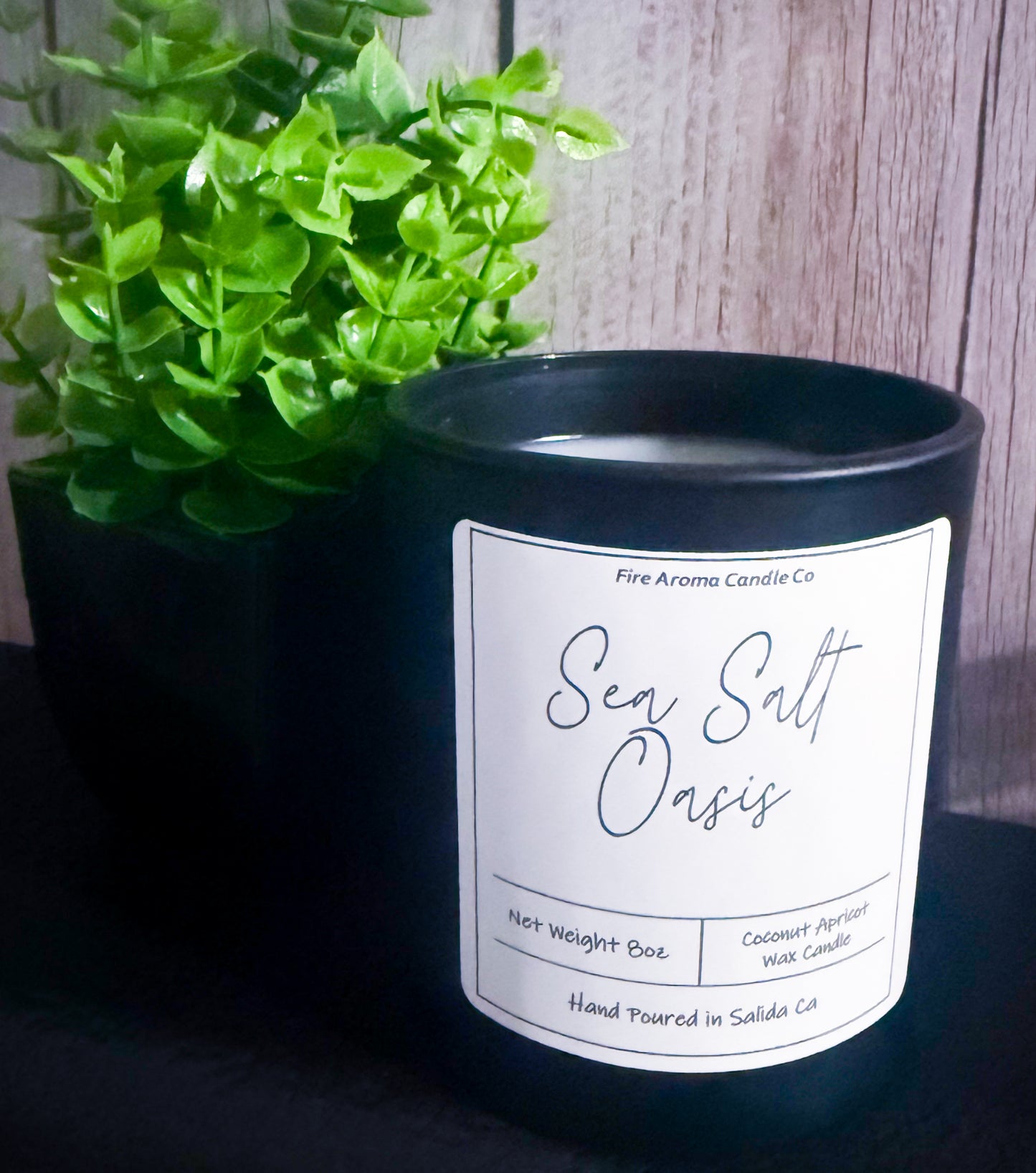 Sea Salt Oasis